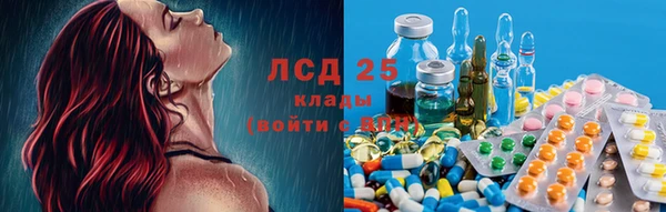 марки lsd Новозыбков