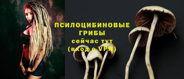 марки lsd Новозыбков