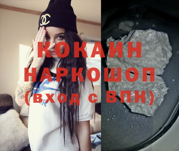 крисы Новокубанск