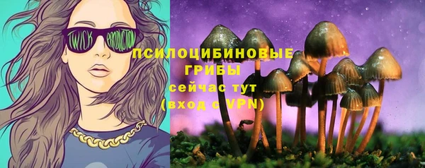 марки lsd Новозыбков