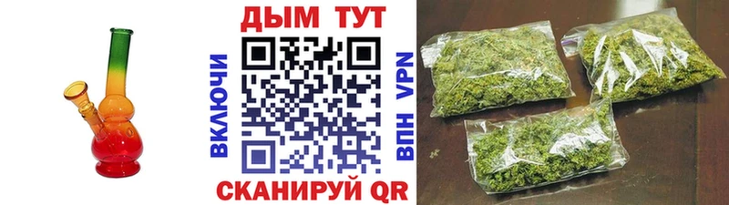 Каннабис сатива Козельск